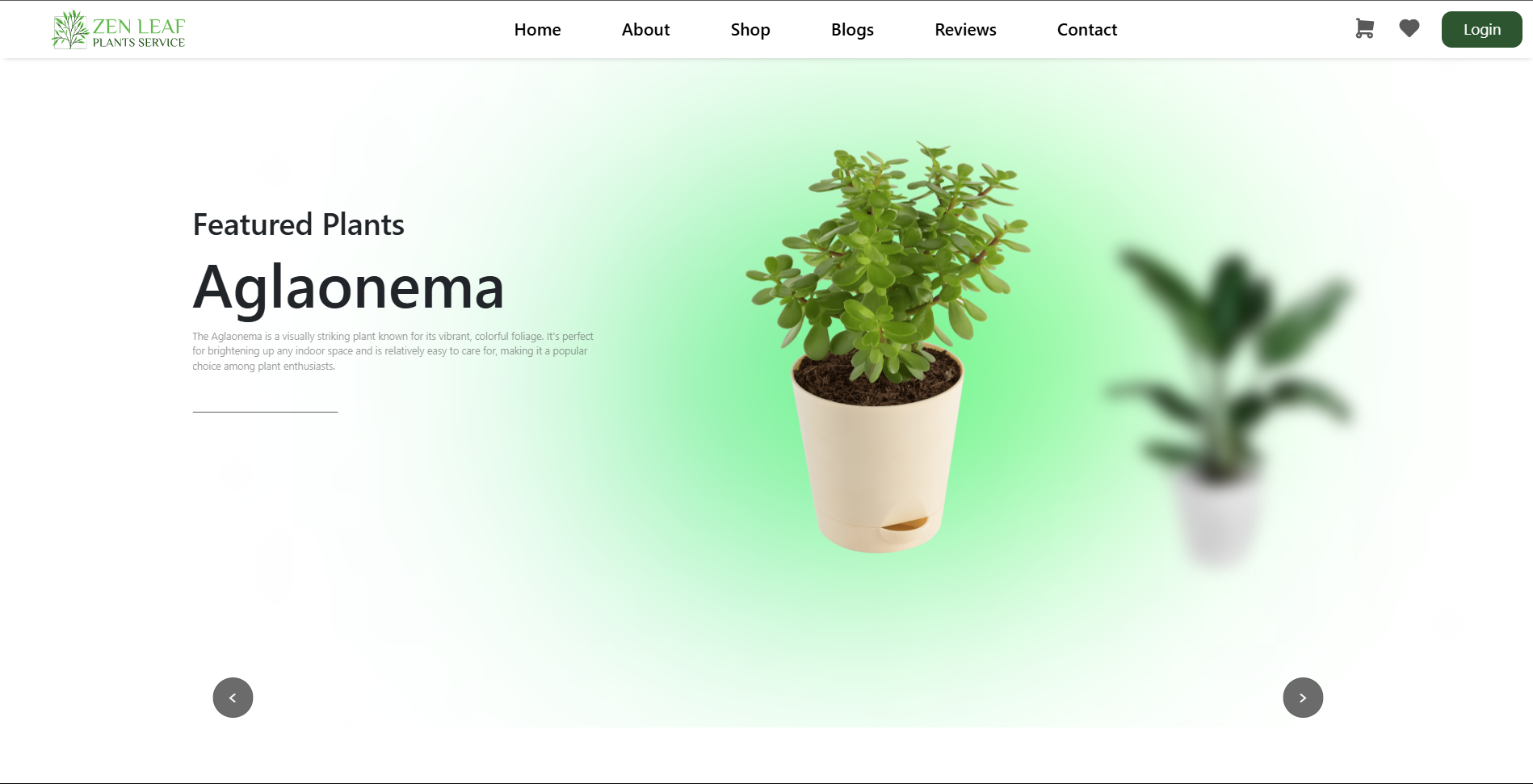 Zenleaf Project Screenshot